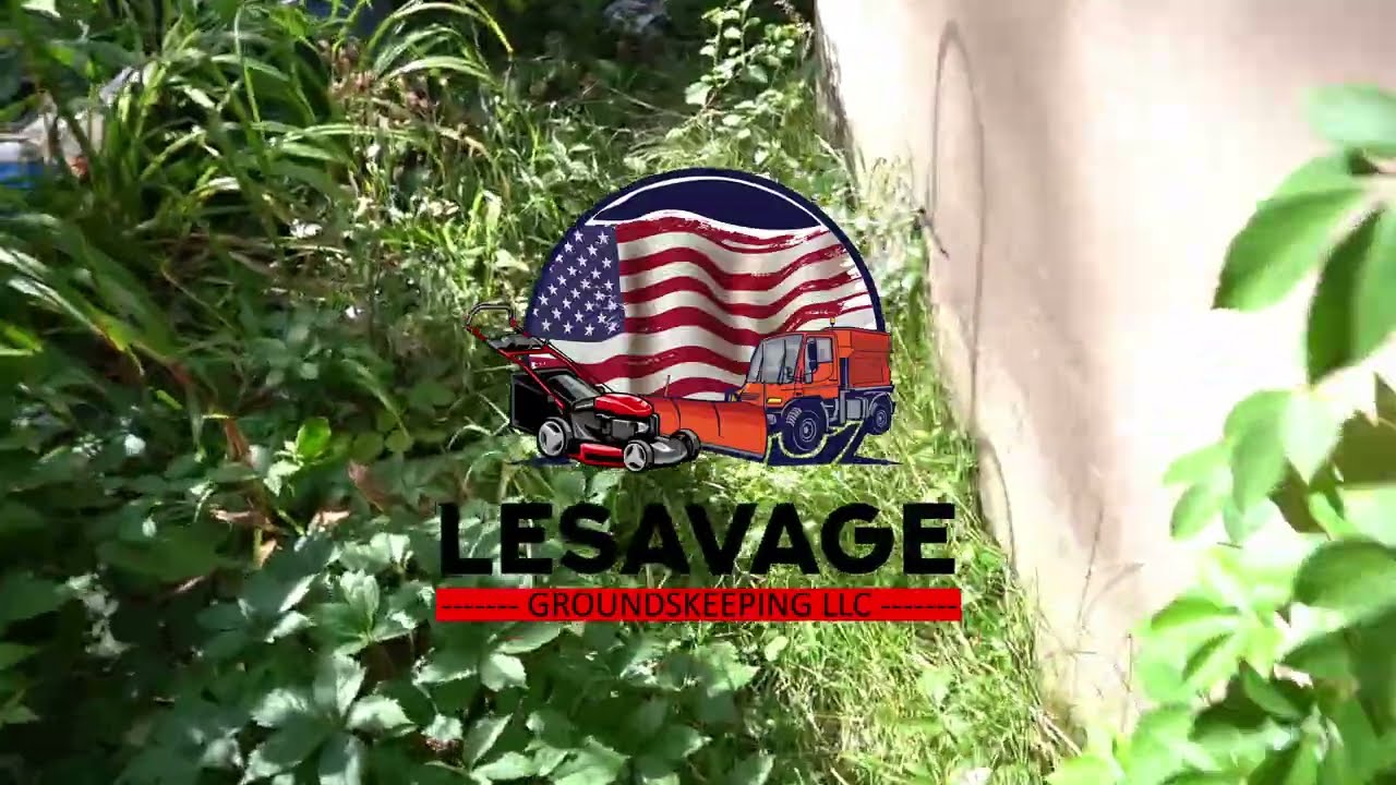JUNGLE TRANSFORMED! Crazy Before & Afters! Landscaping ASMR
