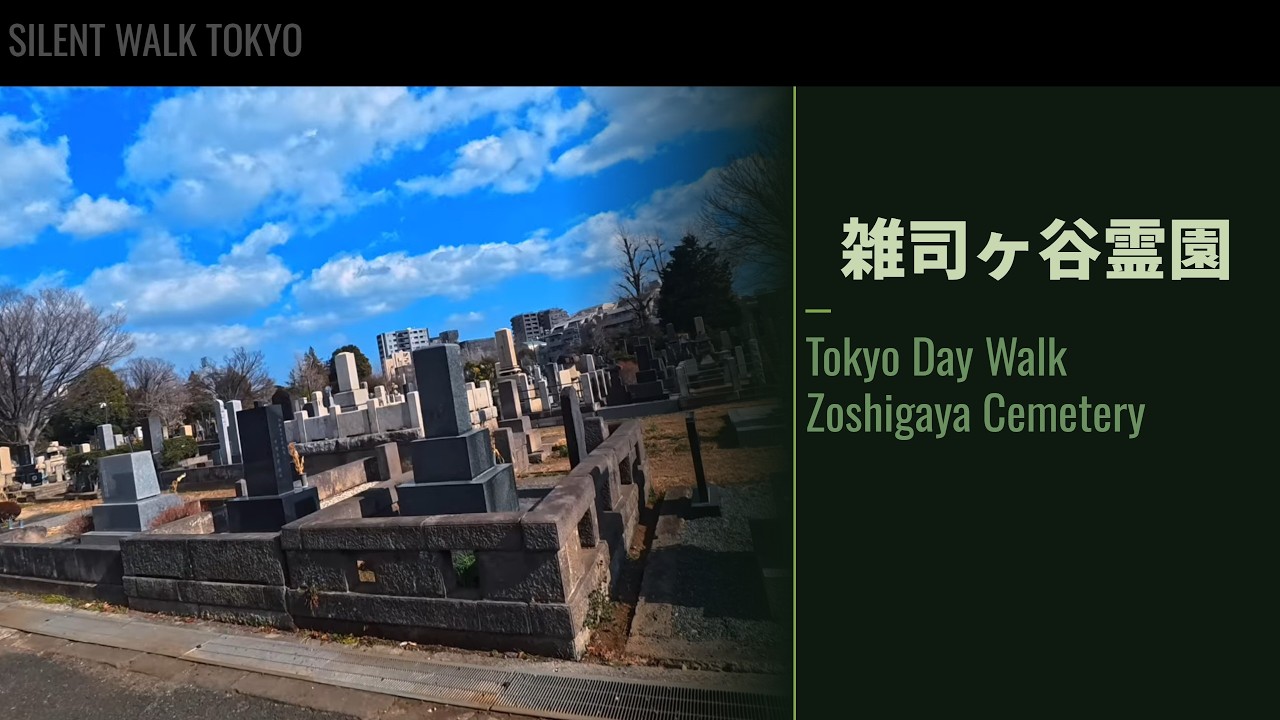 雑司ヶ谷霊園 晴れ 昼散歩【Tokyo Day Walk Zoshigaya Cemetery Sunny POV】