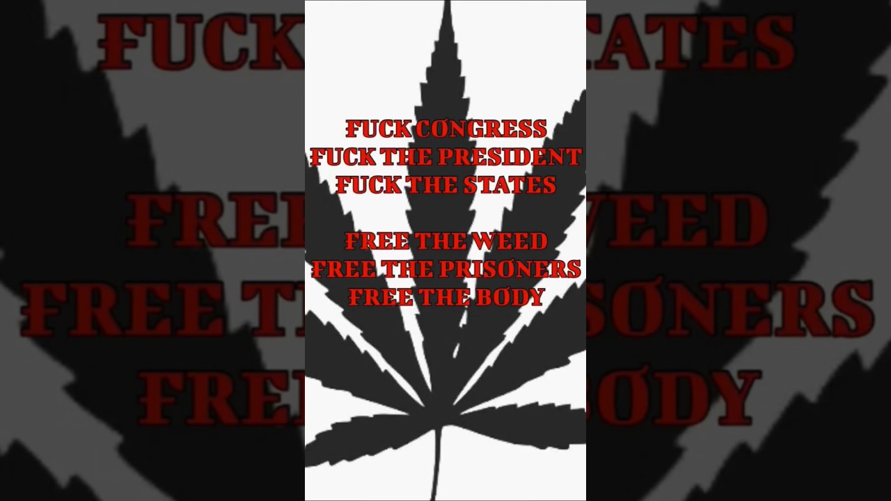 the Glasspack - The Devil's Lettuce - Free the Weed - Fuzzy Psychedelic Stoner Punk