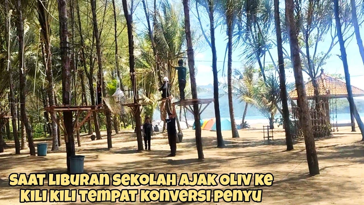 OLIV LIBURAN PANJANG DAN AJAK KE PANTAI KILI KILI KE TEMPAT KONVERSI PENYU