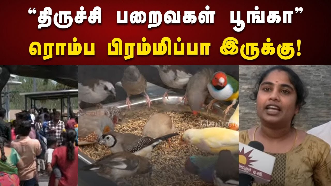 வேற லெவல் பூங்கா... சூப்பரா இருக்கு... Birds Park குவியும் மக்கள் கூட்டம் | Trichy