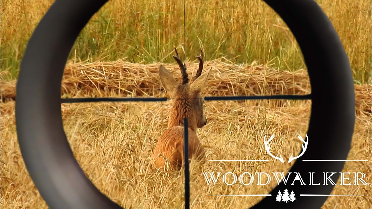 Rehbockjagd - unwaidm&auml;nnischer Schuss? |beste Jagdfilm &Ouml;sterreich | ep#38