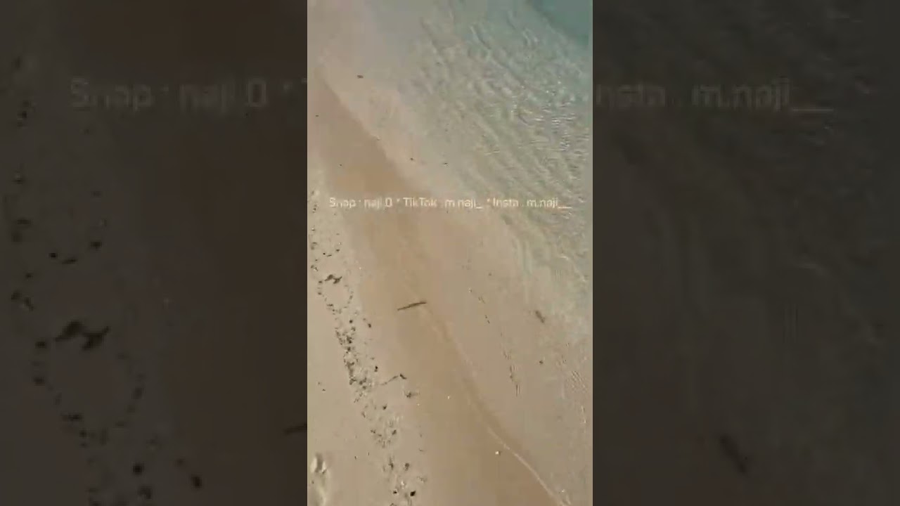 صيد السمك كاستنج
