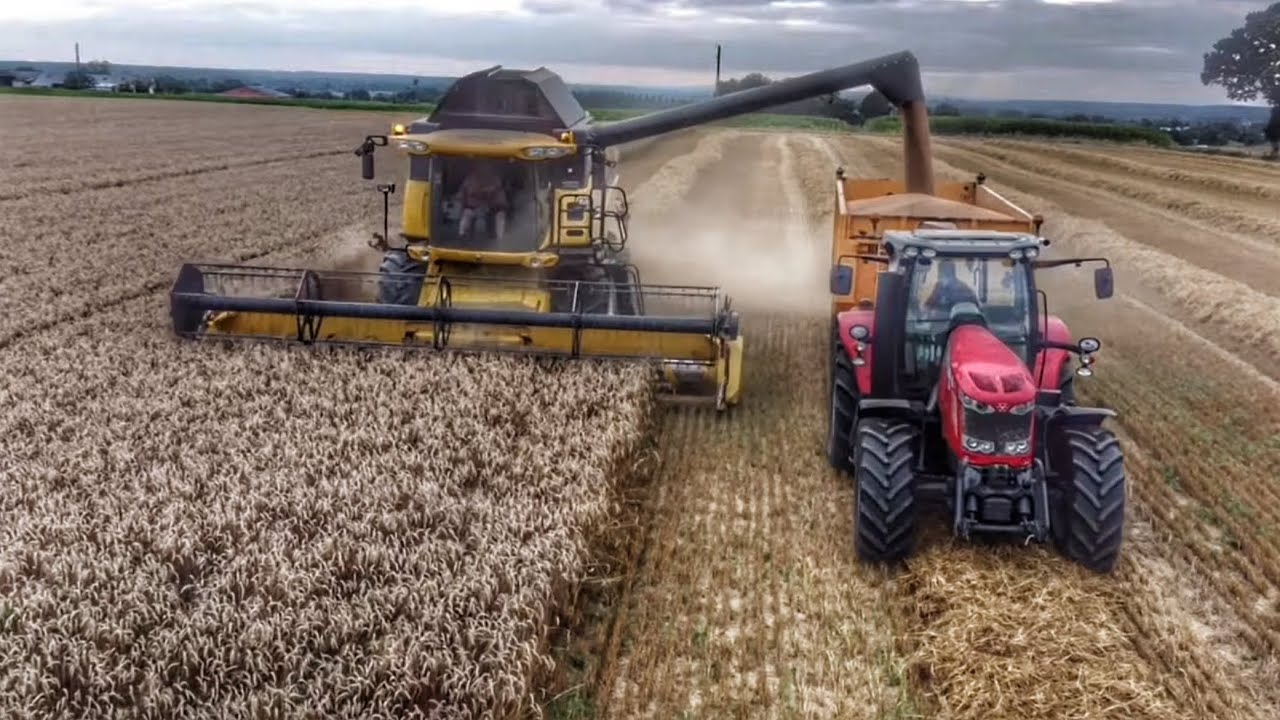 Moisson blé 2023 bretagne |ETA LEGALAIS