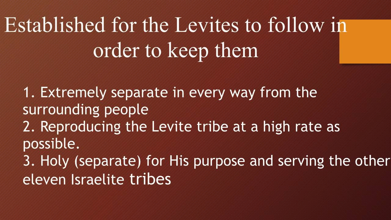 Holiness Code