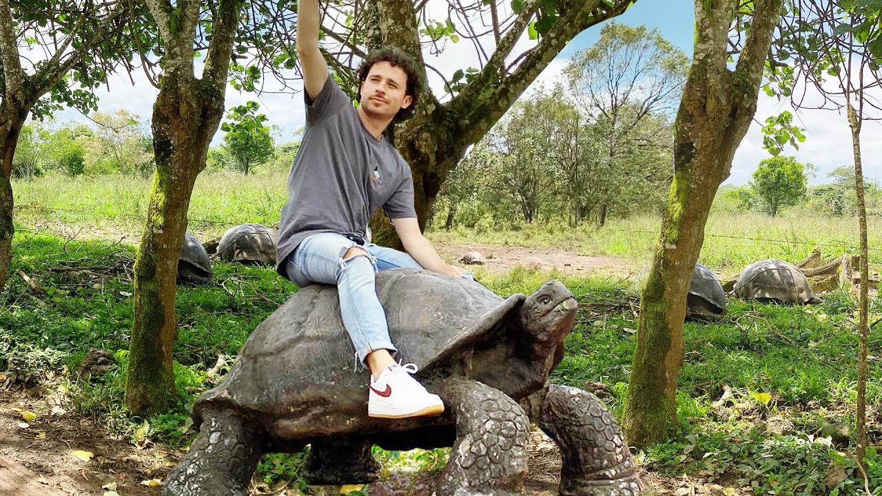Рай гигантских черепах | Галапагосские острова 🐢