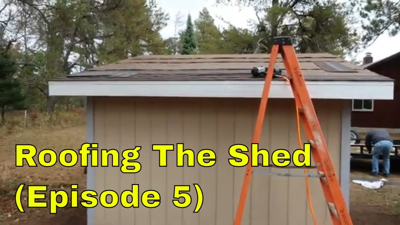 Roofing The New Shed - Episode 5