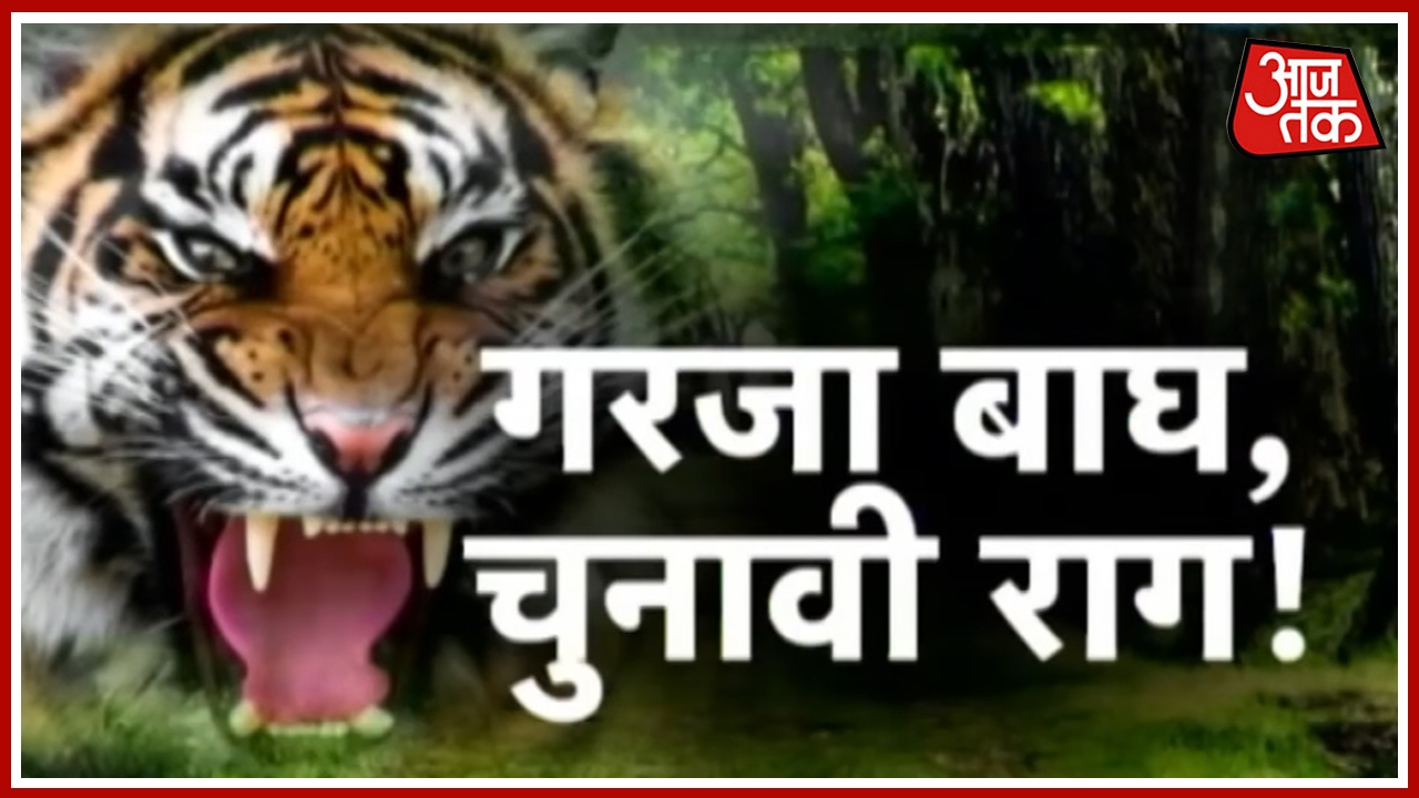 Man-Eater Tiger Captured By Forest Department Officials in Pilibhit