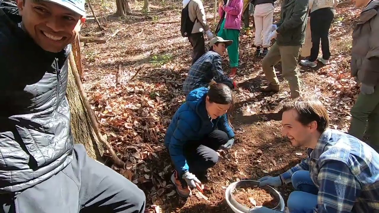 Organic Farming, Forest Hiking, Bonfire & Japanese Vege Curry!