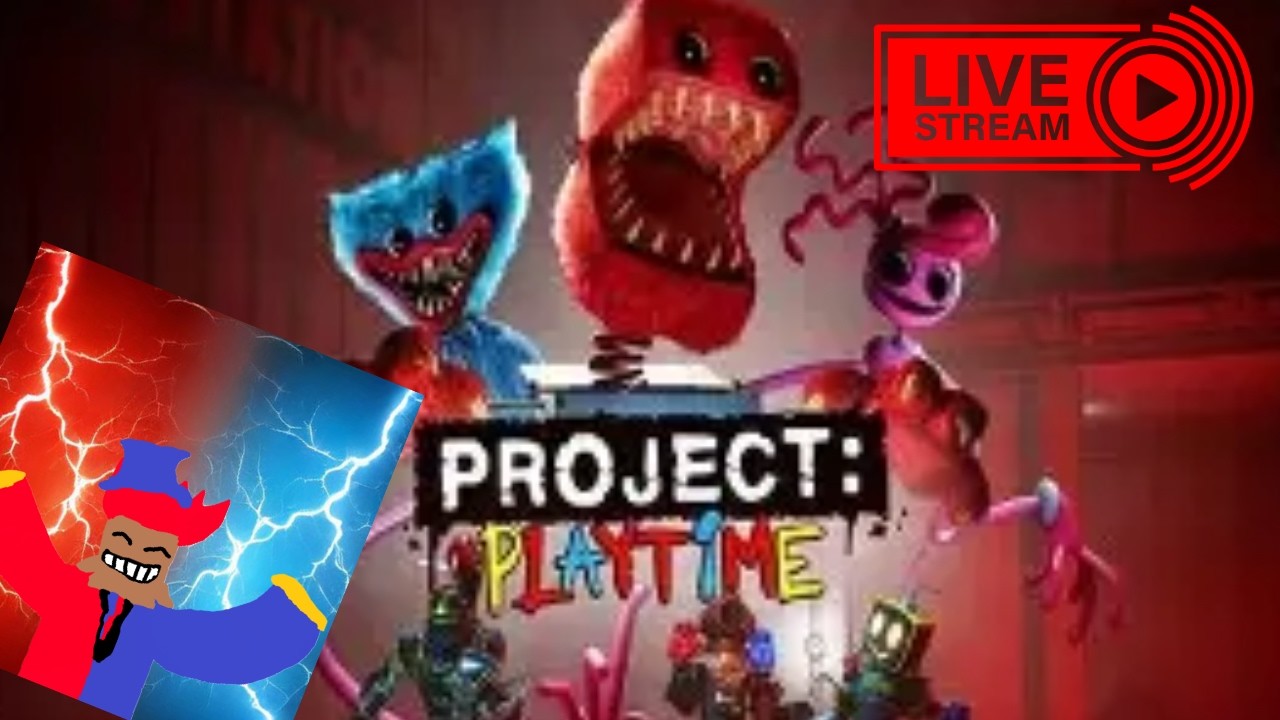 PLAYING PROJECT PLAYTIME!! #projectplaytime
