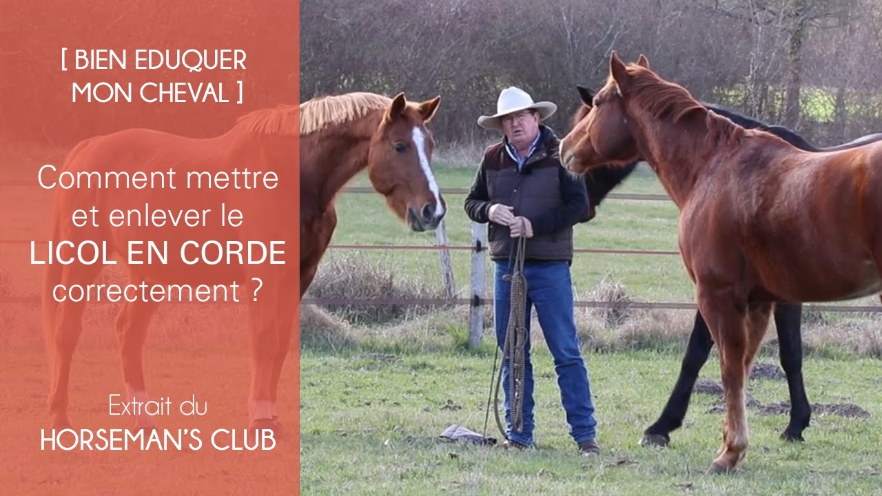 [BIEN EDUQUER] Comment mettre et enlever le licol en corde correctement ?