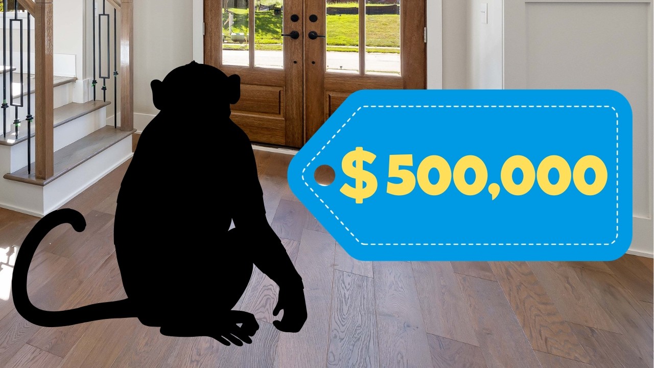 This Pet Costs 500,000 Dollars to Own