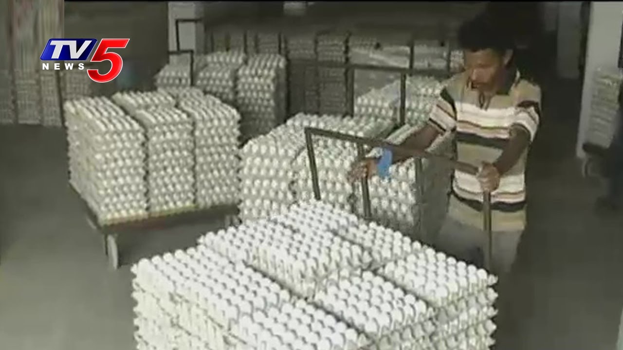 Success Story | Paruchuri Venkata Rao Poultry Farming | Annapurna | Guntur | TV5 News
