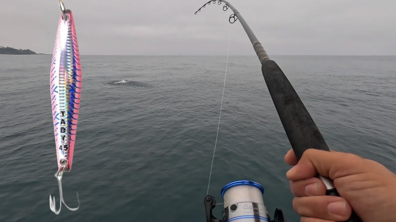 Tady lures! Surface Iron lessons with epic results + Multiple Species Caught.         #fishing