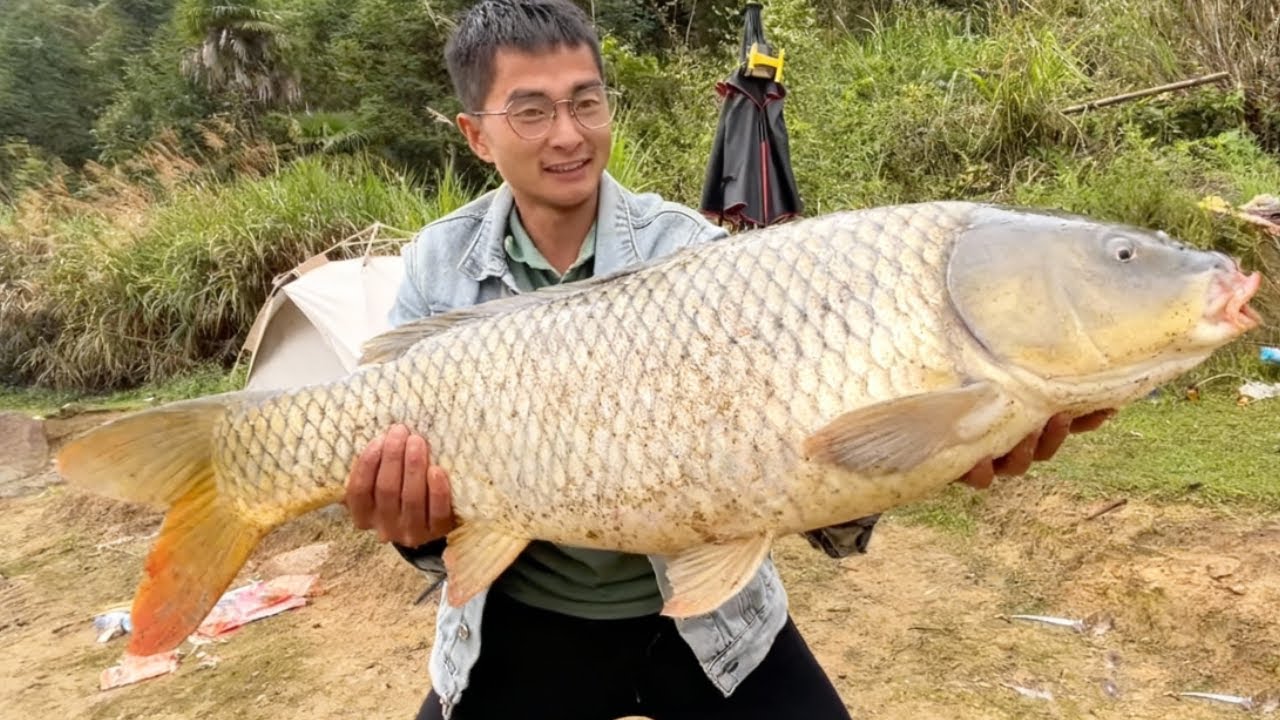 在荒野深山水库野钓，没想到大鱼密密麻麻，百斤大草鱼拉不停，简直钓鱼人的天堂！#野钓 #大魚 #钓鱼