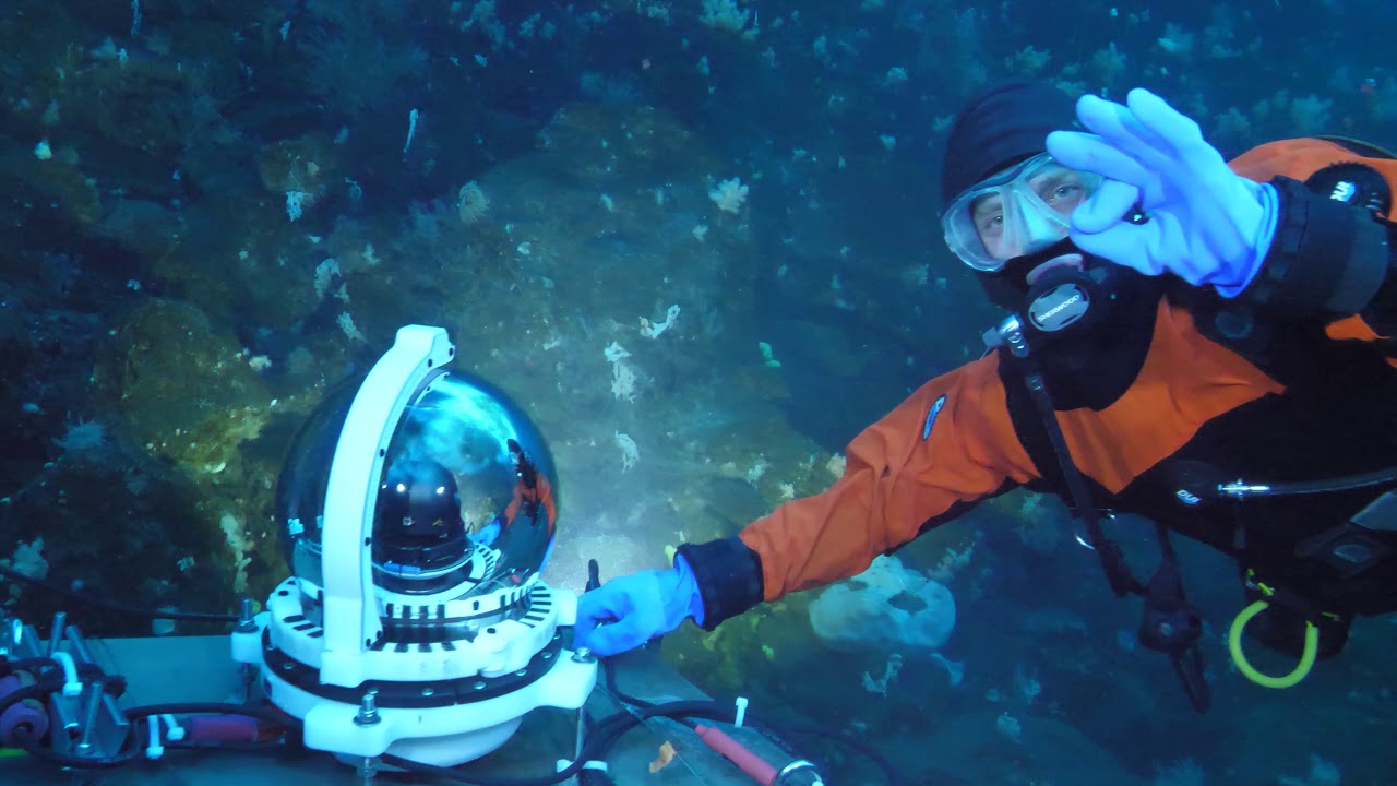 Antarctica's Underwater Observatory - MOO Antarctica