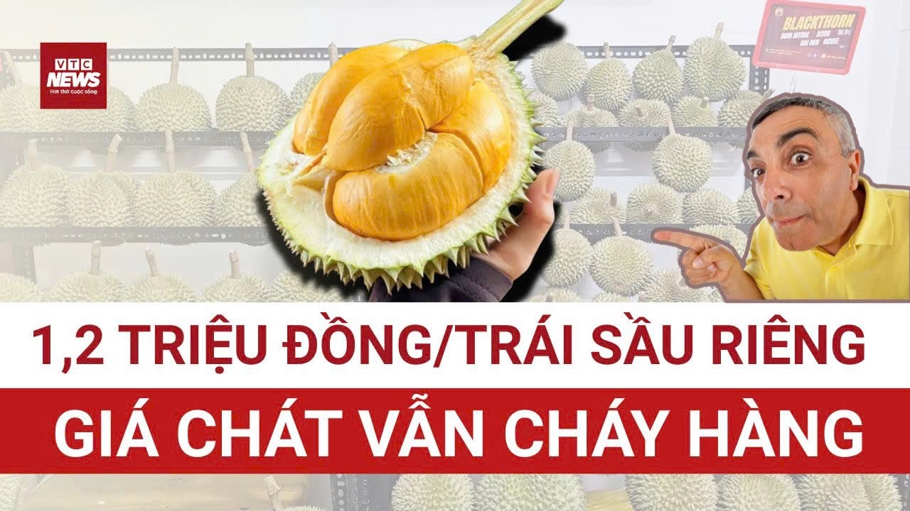 Sầu riêng Black Thorn đắt xắt ra miếng được săn lùng, hàng có bao nhiêu cũng không đủ bán | VTC News