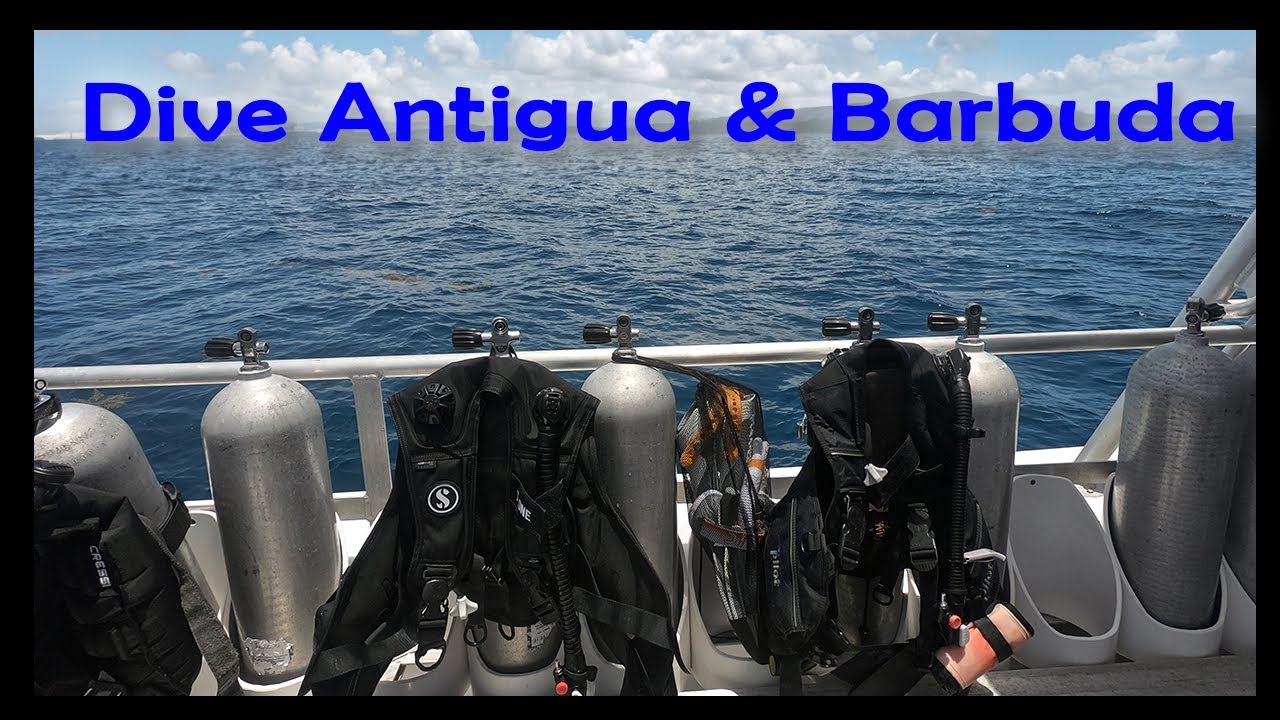 Scuba Diving in Antigua and Barbuda | Sharks, Rays, Barracuda