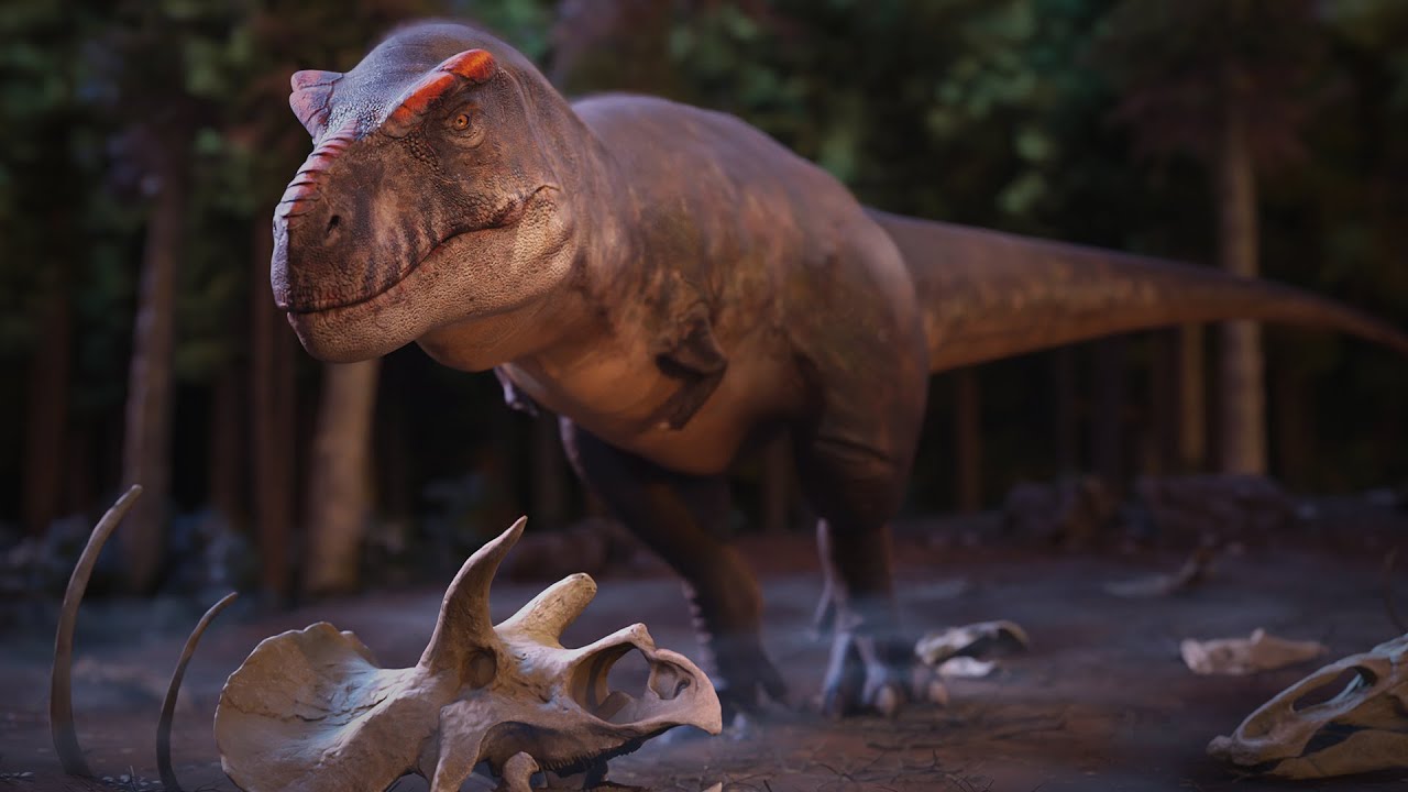 Tyrannosaurus rex | Bone Bed | Paleo animation