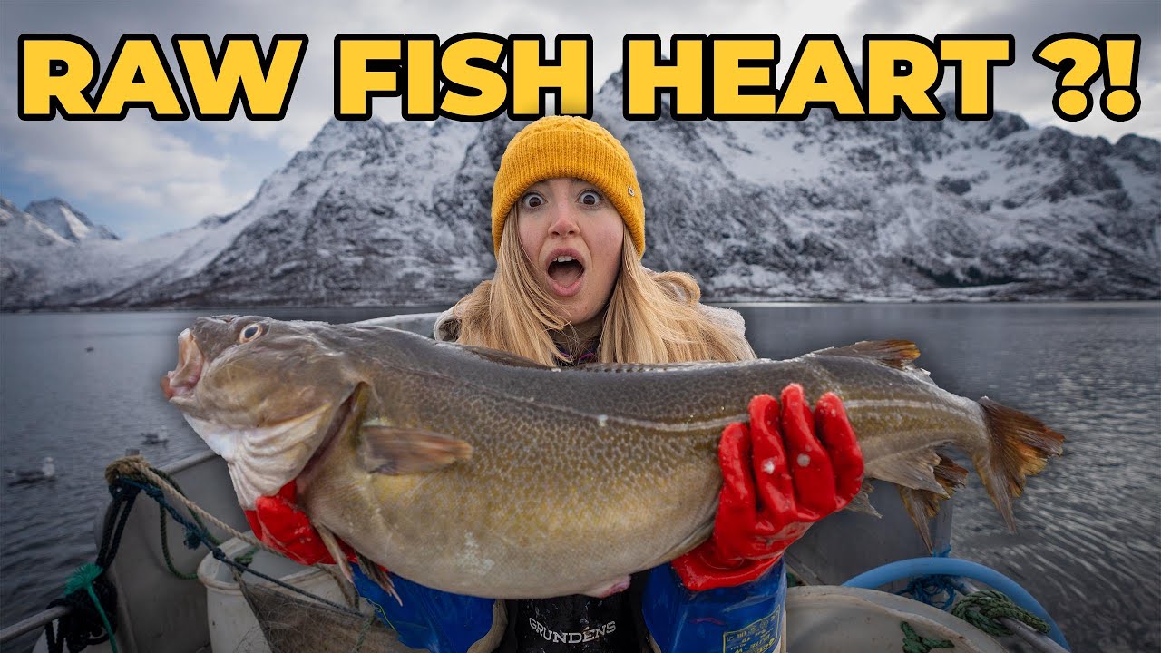 I Became a Norwegian Fisherman for a Day | Crazy Experience in Lofoten!