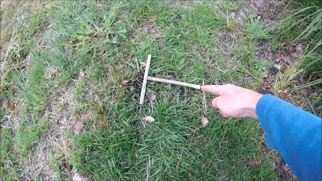Comment &eacute;valuer la taille d'un arbre ? - Monjardindansleslandes