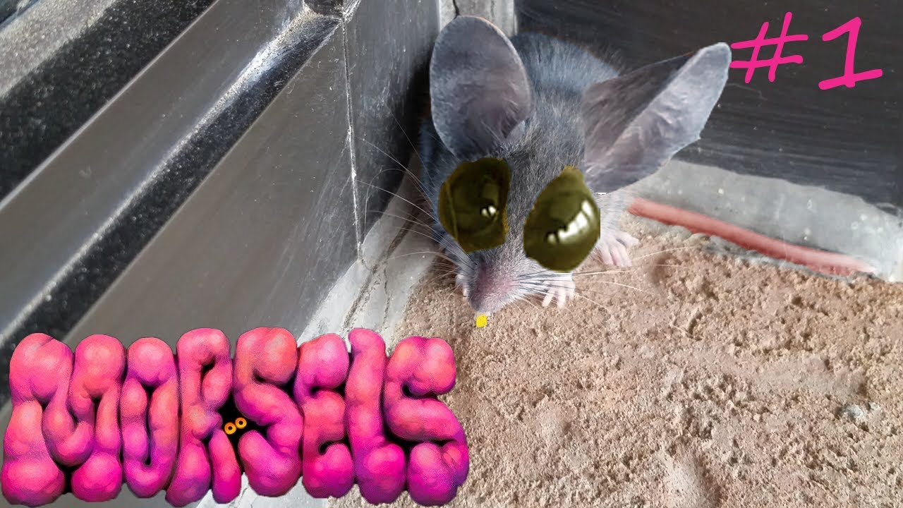 Morsels [1]: НОВЫЙ АЙЗЕК???!!!??!?