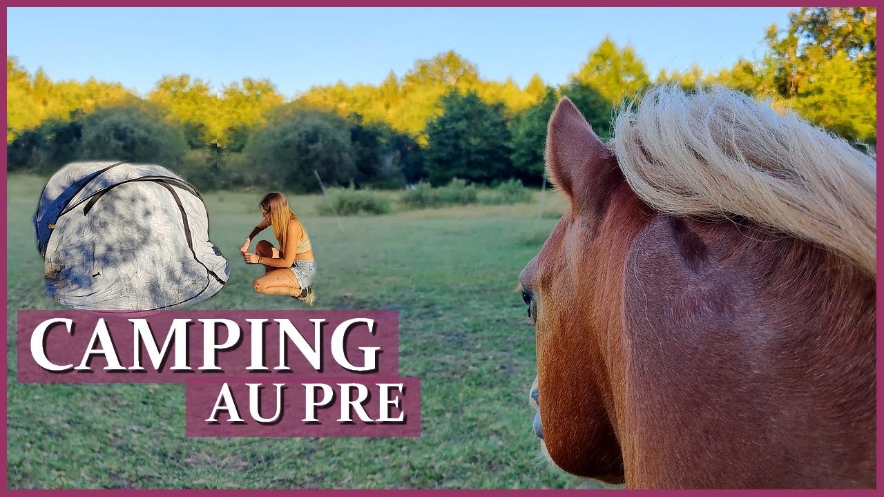 UNE NUIT AU PRE SOUS LA TENTE ! ⛺🌄 - Ils font le bazar en pleine nuit...