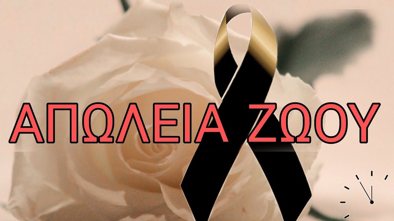 Πώς να αντιμετωπίσω το θάνατο του κατοικίδιου μου;