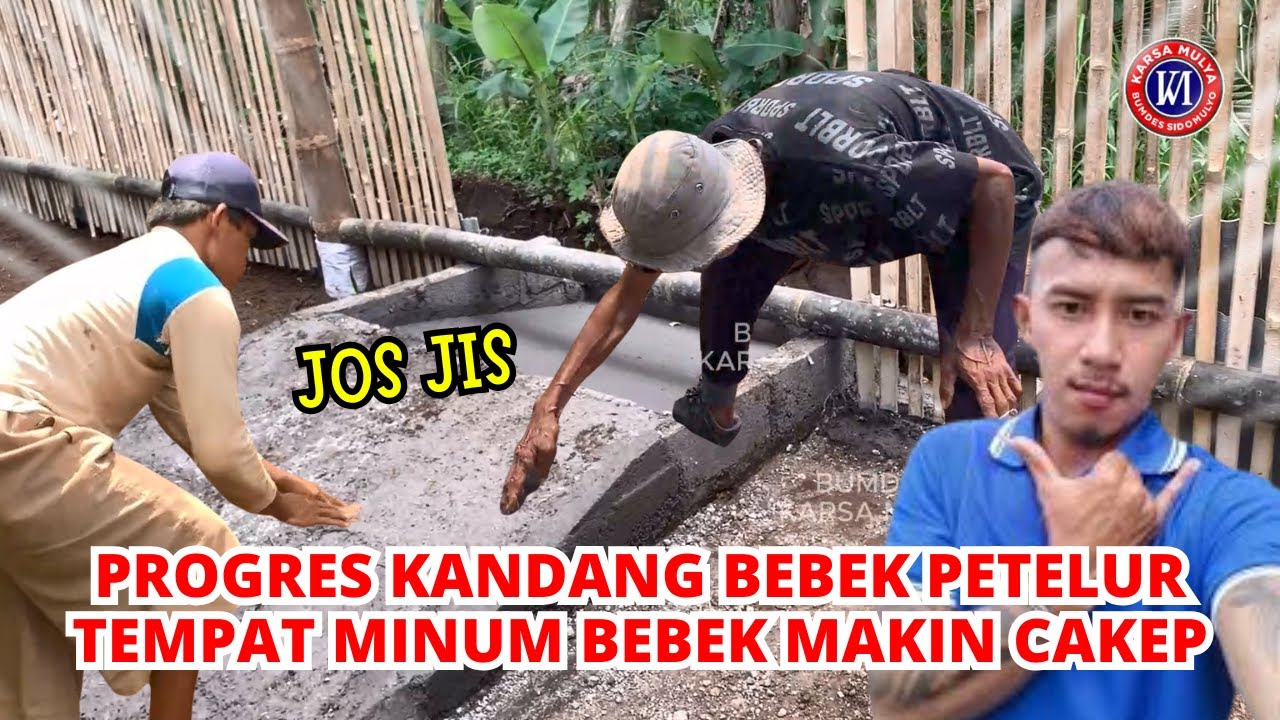 MANTAP PROGRES KANDANG BEBEK PETELUR TEMPAT MINUMNYA CAKEP BENER, JOSJIS, ISTIMEWAA!!!!! #bumdes