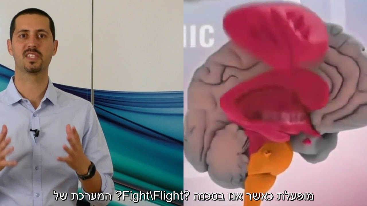 למה לזברות אין אולקוס?