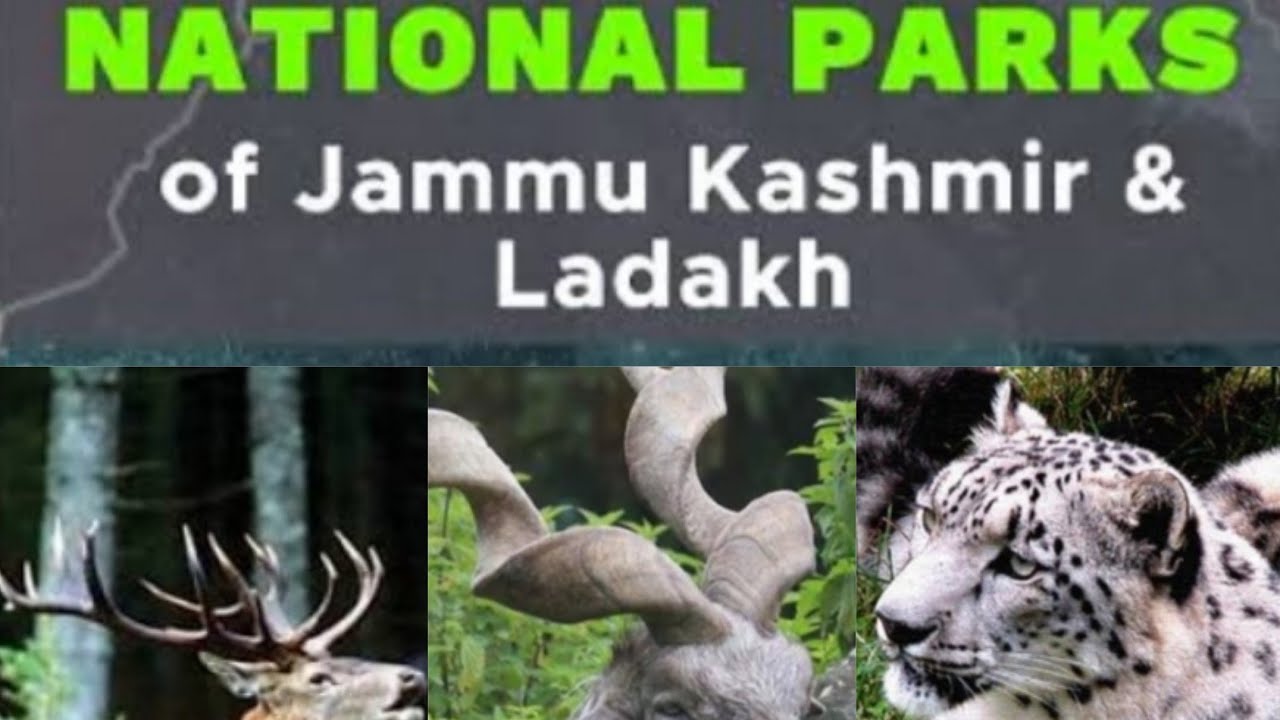 National park of jammu kashmir # #jkssb  class1 # By Anu rajput 