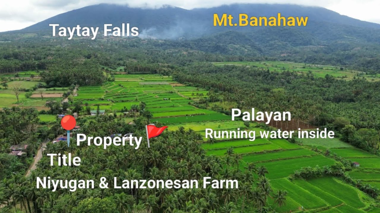 #Vlog423 TITLE FARM LOT FOR SALE | NEAR TAYTAY FALLS | NIYUGAN,LANZONESAN & MAY PALAYAN KASAMA.