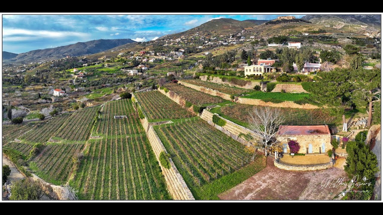 Μοντοφώλι Wine Estate & Villas