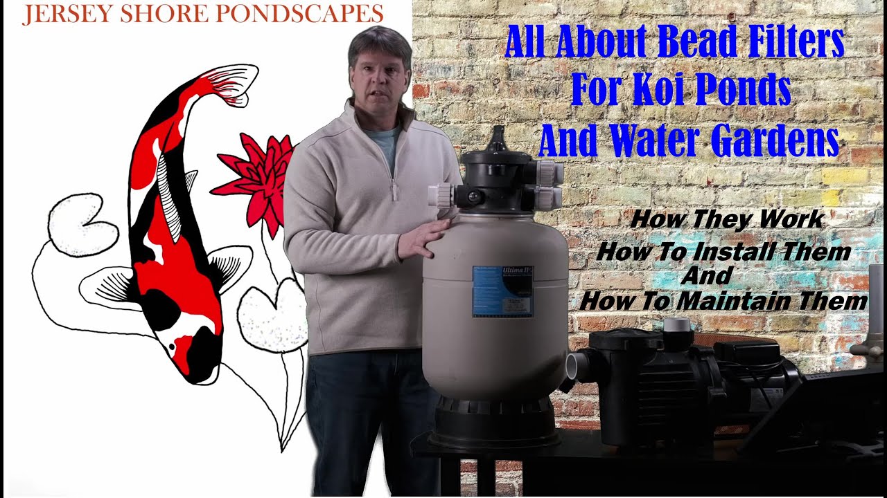 Bead Filters:  What To Know