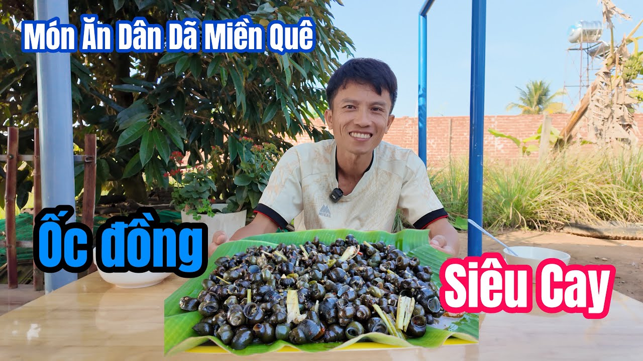 Hôm Nay Ba Em Ra Ruộng Bắt Được Gần 2 Ký Ốc Gạo Về Sào Sả Ớt Siêu Cay Trần Thanh 93