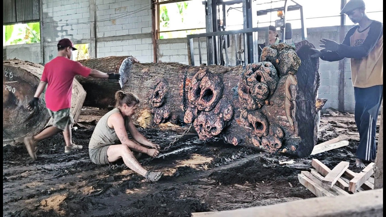 This Giant trembesi wood Was Cut Open‼️EVERYONE WAS SHOCKED I sawmill 🌲