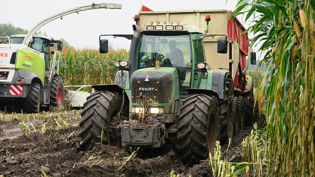 Modderen in de mais door Geresteijn | Fendt totally stuck in the Mud | Claas Jaguar | Pitwork