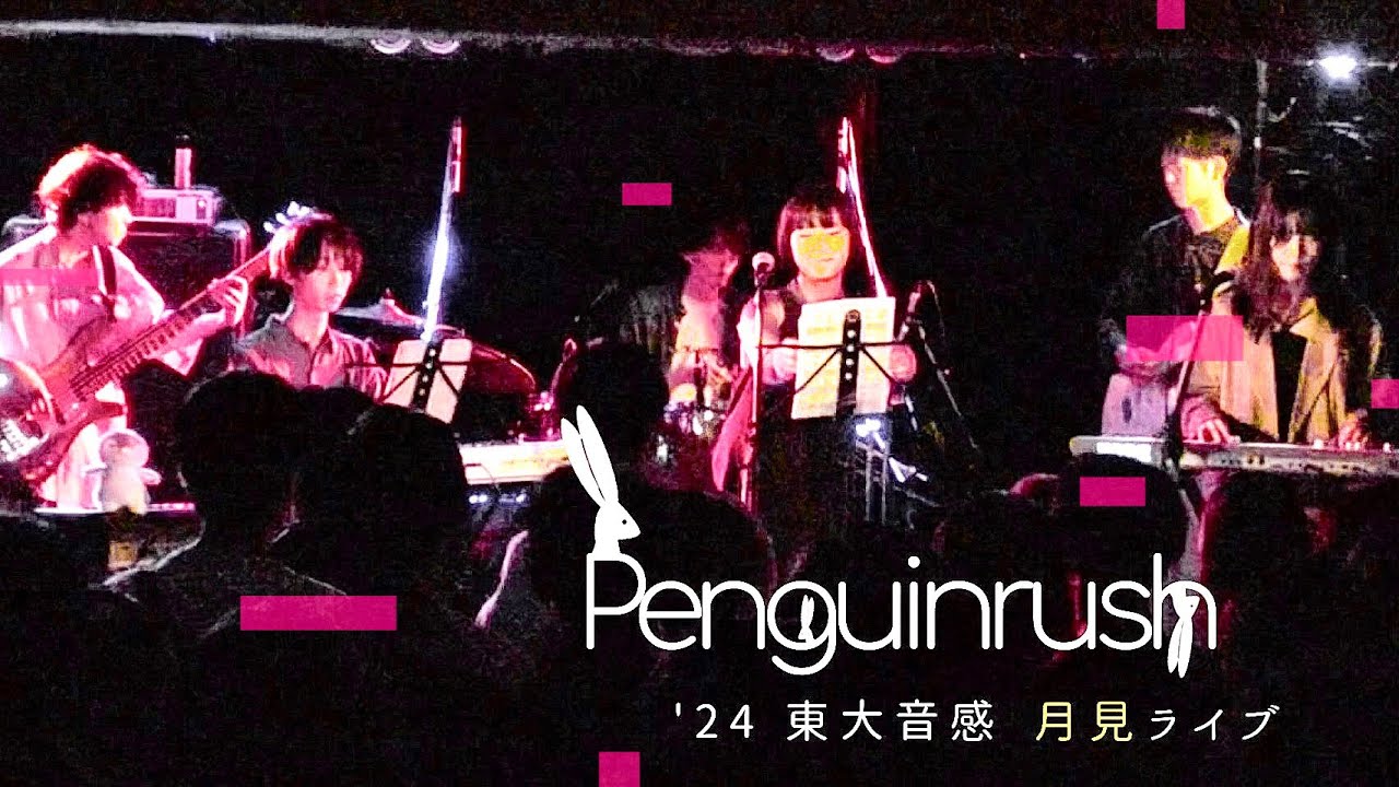 5.ペンギンラッシュ [東大音感 ’24 月見ライブ]