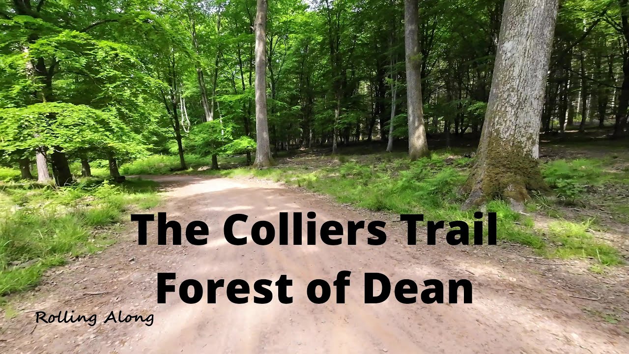 The Colliers Trail, Forest of Dean