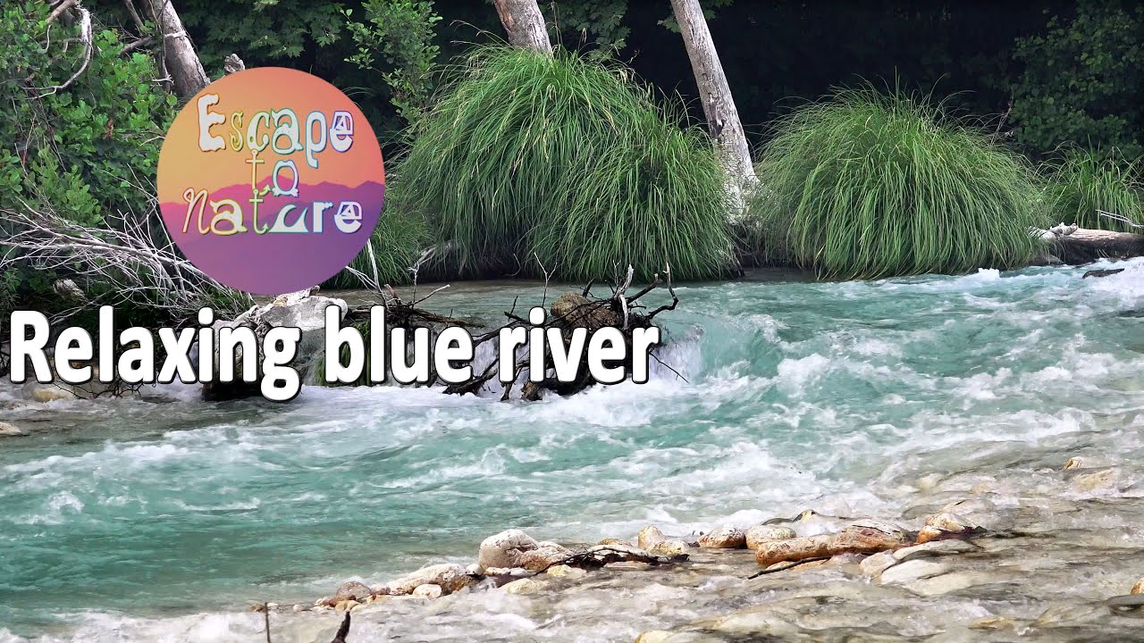 🔴Relaxing blue river-Soothing sound of flowing water and forest birds singing-Sleep Relax Meditation