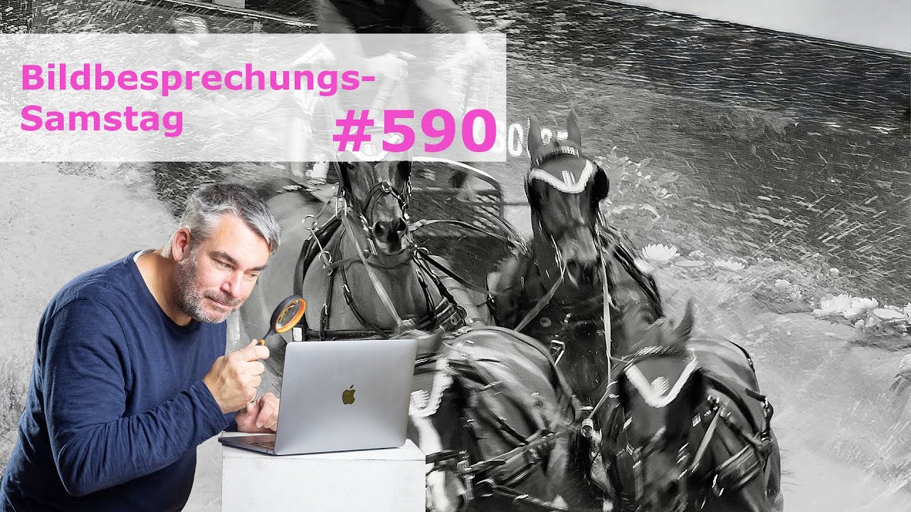 Bildbesprechung 590