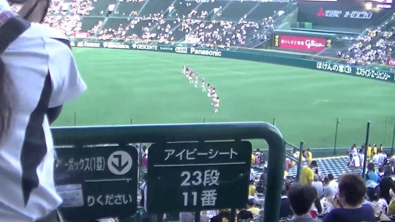 アイビーシート最上段からの光景！！三ツ矢サイダーボックス席もわかります！！