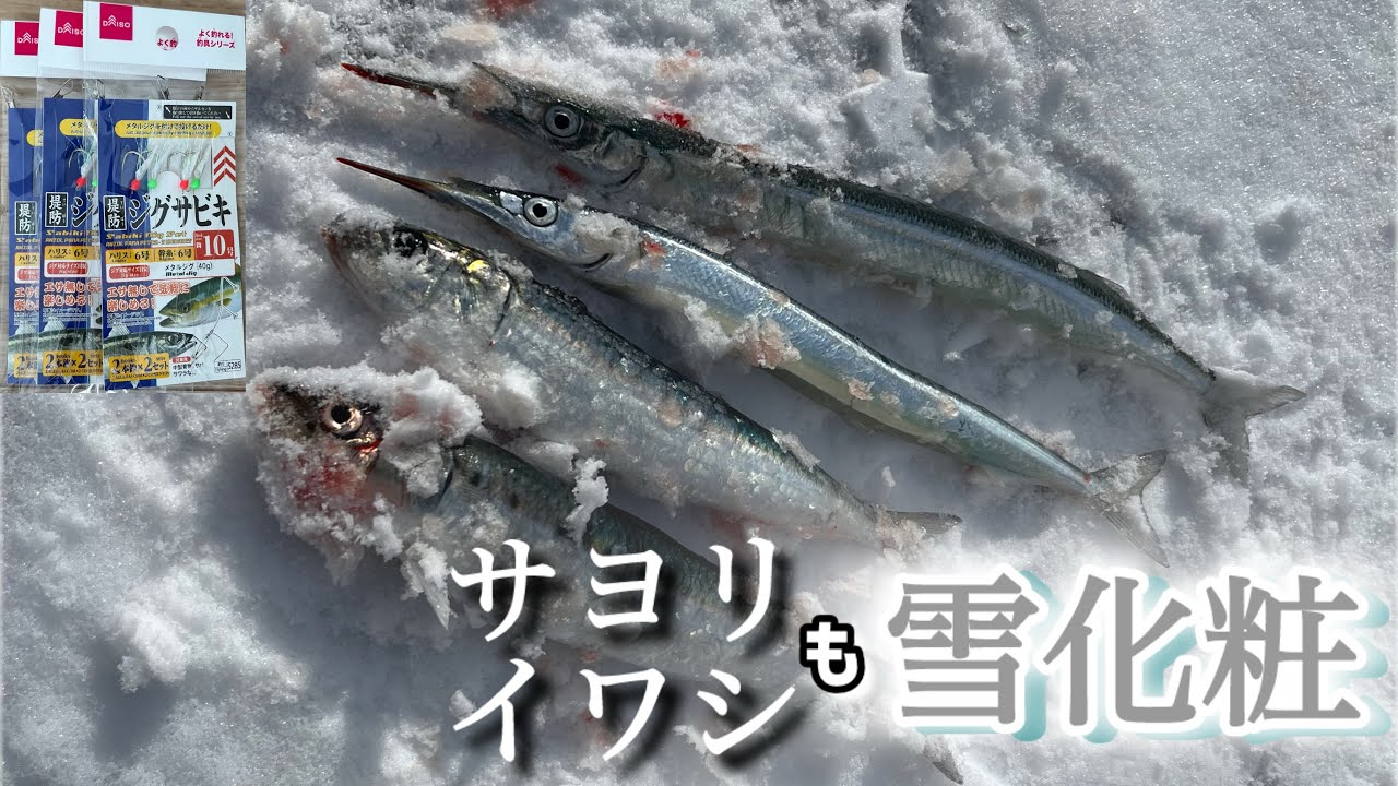 【ショアジギング】ダイソージグサビキでサヨリとイワシを釣り上げる🎣　IN白銀の世界