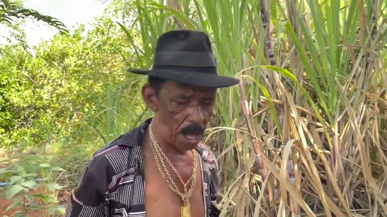 CHARLLES TROLA TIRINGA COM UMA COBRA DE QUASE 3 METROS 😂 | COMÉDIA SELVAGEM