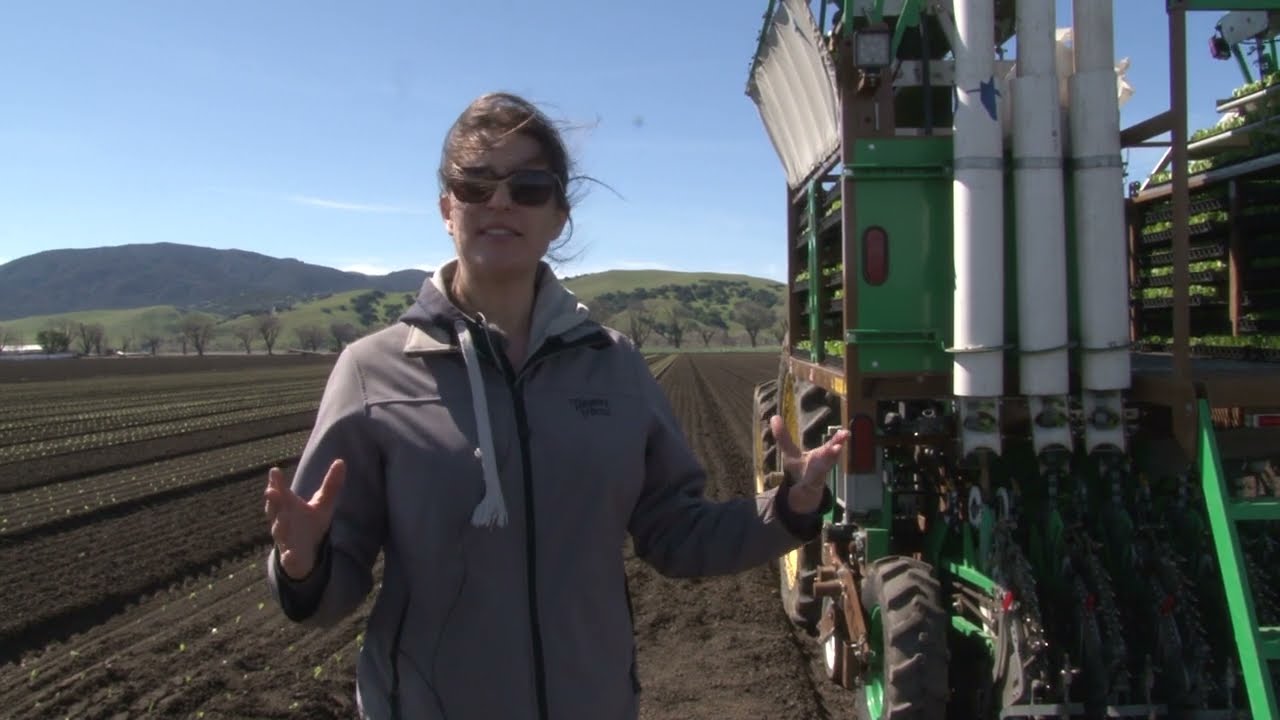 Mechanization in vegetable crop production in California