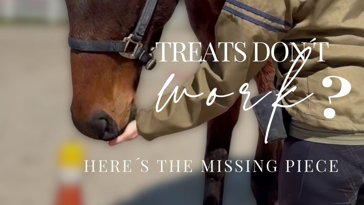 Treats don´t work? Here´s the missing piece