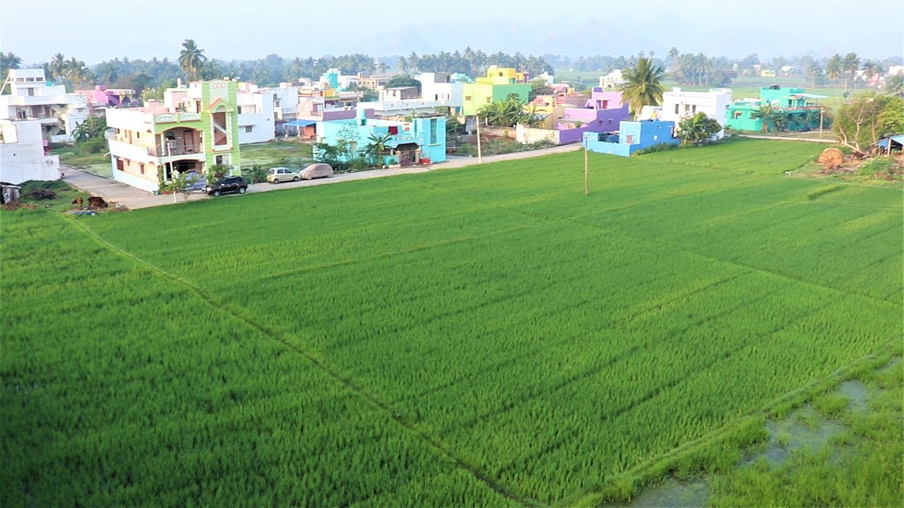 Kannamangalam, Tiruvannamalai District Tamil Nadu Latest Video 2020