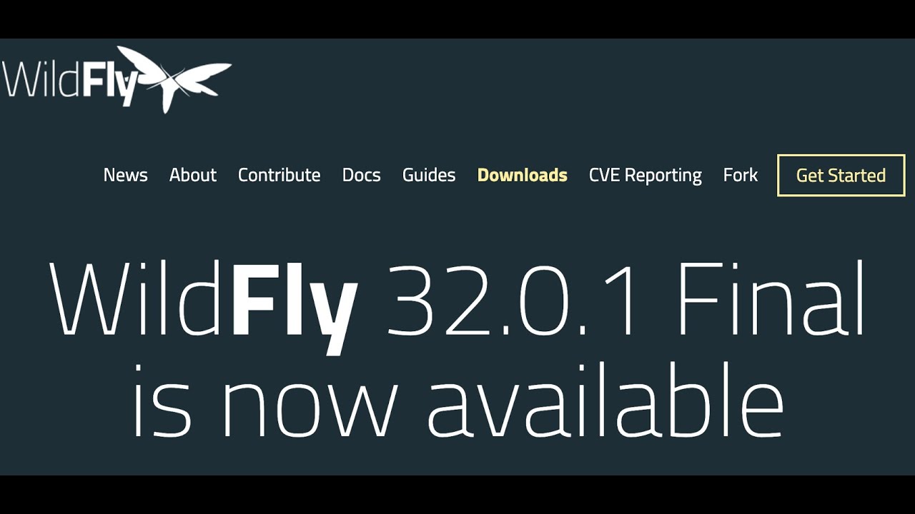 Wildfly Application Server Installation