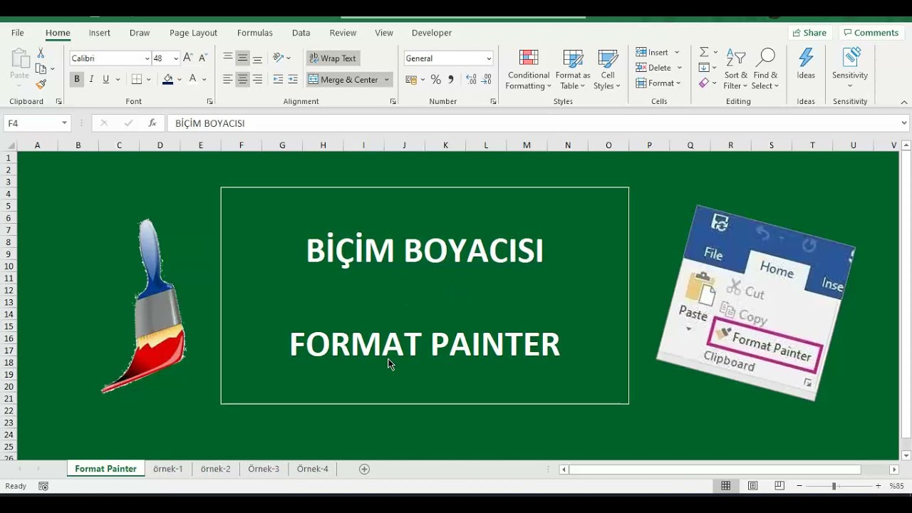 Excel Bi&ccedil;im Boyacısı / Format Painter ile kolayca bi&ccedil;imleri &ccedil;oğaltın