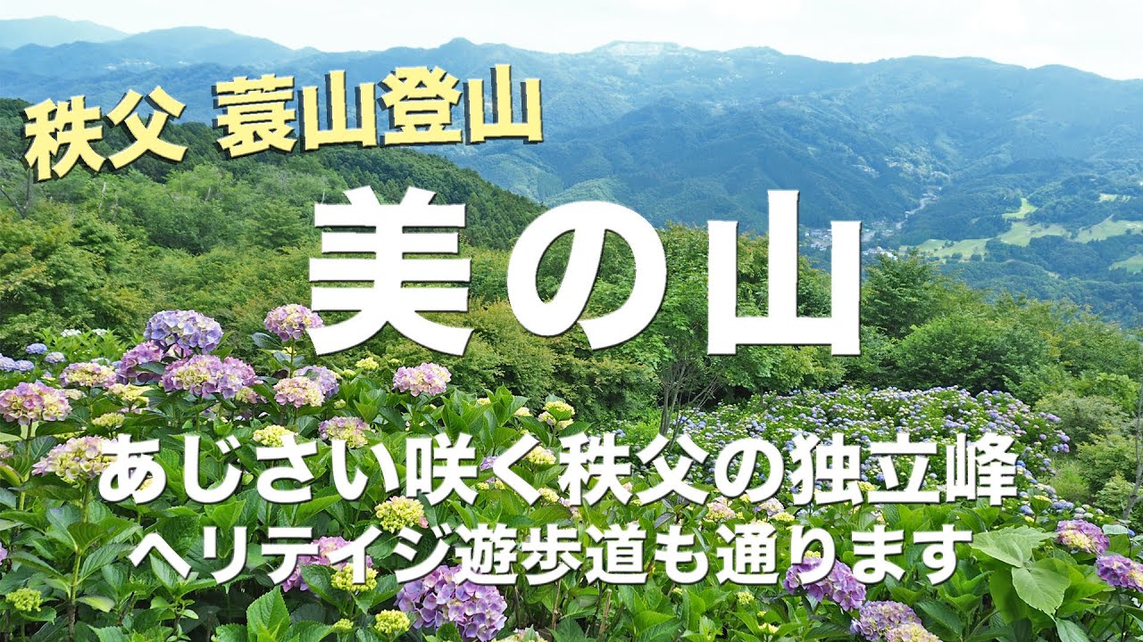 【秩父登山】蓑山 美の山登山 あじさい咲く山頂へ /  ヘリテイジ遊歩道は雰囲気ある道でした / 美の山公園 2021.6.18